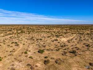 3475 Private Rd 3324 (57)