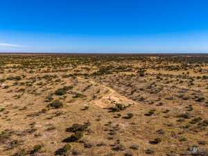 3475 Private Rd 3324 (58)