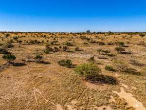 3475 Private Rd 3324 (59)