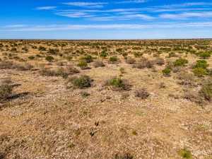 3475 Private Rd 3324 (62)