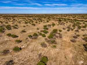 3475 Private Rd 3324 (63)