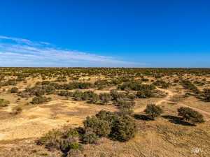 3475 Private Rd 3324 (64)