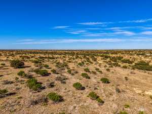 3475 Private Rd 3324 (65)