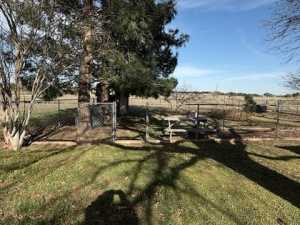 8881 Rust Rd (9)