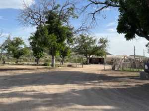 11838 Juno Rd (11)