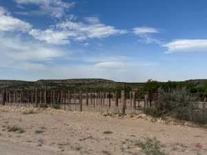 11838 Juno Rd (13)