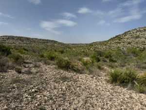 11838 Juno Rd (2)