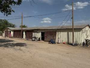 11838 Juno Rd (22)