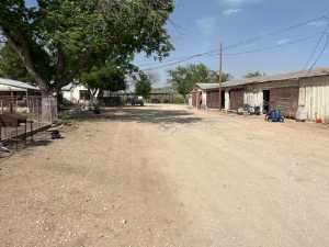 11838 Juno Rd (27)