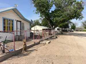 11838 Juno Rd (28)