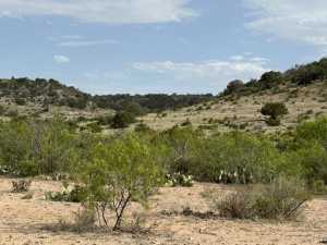 11838 Juno Rd (3)