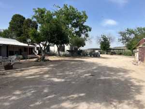 11838 Juno Rd (31)