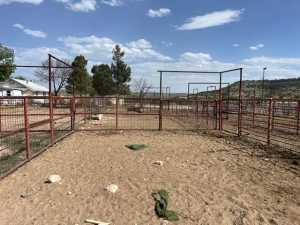 11838 Juno Rd (35)