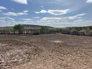 11838 Juno Rd (36)