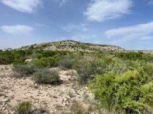 11838 Juno Rd (37)