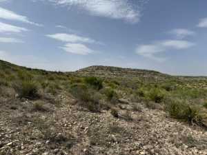 11838 Juno Rd (4)