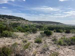 11838 Juno Rd (40)