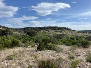 11838 Juno Rd (41)