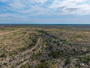 11838 Juno Rd (93)