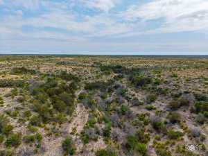 11838 Juno Rd (94)