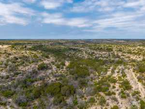 11838 Juno Rd (95)