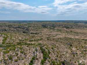 11838 Juno Rd (98)
