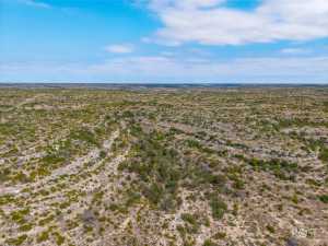 11838 Juno Rd (51)