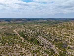 11838 Juno Rd (13)