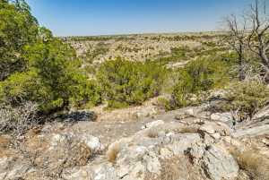11838 Juno Rd (2)