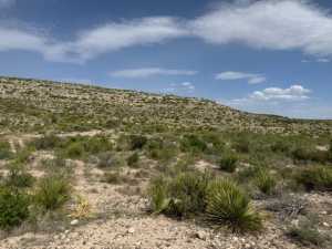 11838 Juno Rd (6)