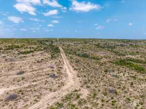 11838 Juno Rd (26)