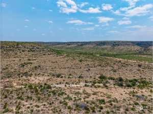 11838 Juno Rd (27)