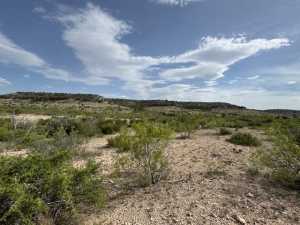 11838 Juno Rd (7)