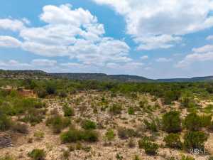 11838 Juno Rd (33)