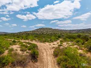11838 Juno Rd (34)