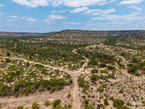 11838 Juno Rd (35)