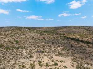 11838 Juno Rd (36)