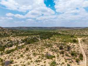 11838 Juno Rd (38)