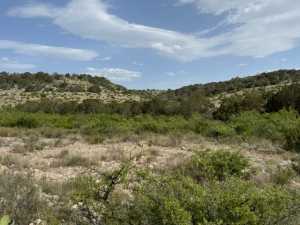 11838 Juno Rd (8)