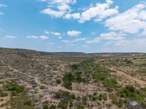 11838 Juno Rd (41)