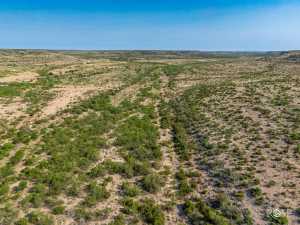 11838 Juno Rd (45)