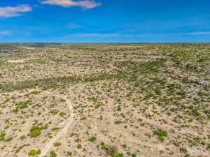 11838 Juno Rd (49)