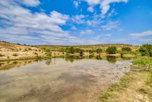 11838 Juno Rd (3)