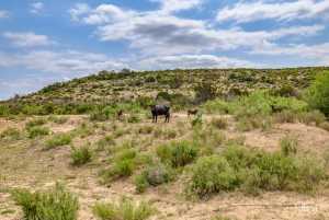 11838 Juno Rd (4)