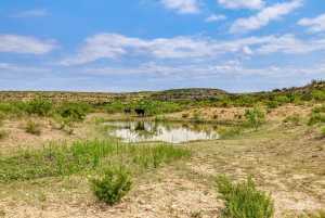 11838 Juno Rd (5)