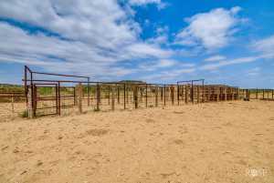11838 Juno Rd (8)