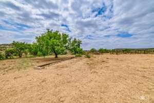 11838 Juno Rd (10)