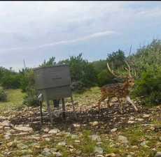 Lot 48 County Rd 410 (8)