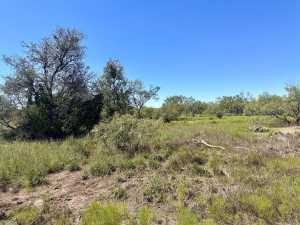12088 Mule Deer Trail
