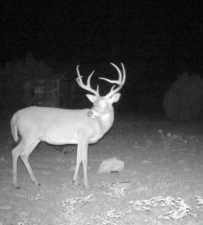3420 NE County Rd 2596 (53)